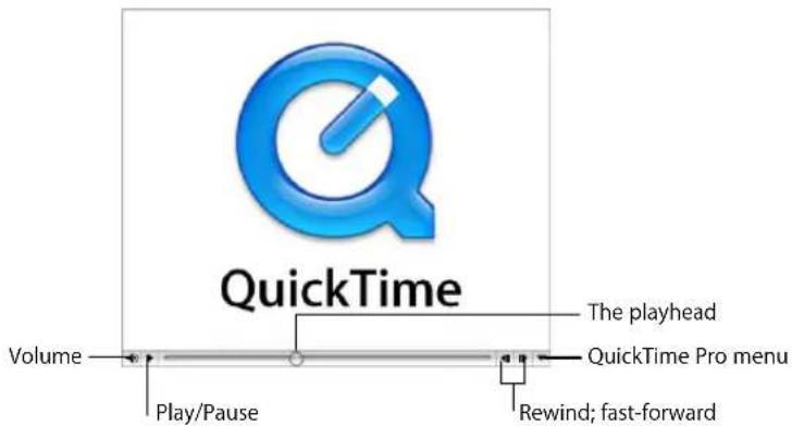 QuickTime Volume Play/Pause The playhead QuickTime Pro menu Rewind; fast-forward