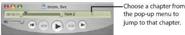 mom_live 00:06:11 Track 2 Choose a chapter from the pop-up menu to jump to that chapter.
