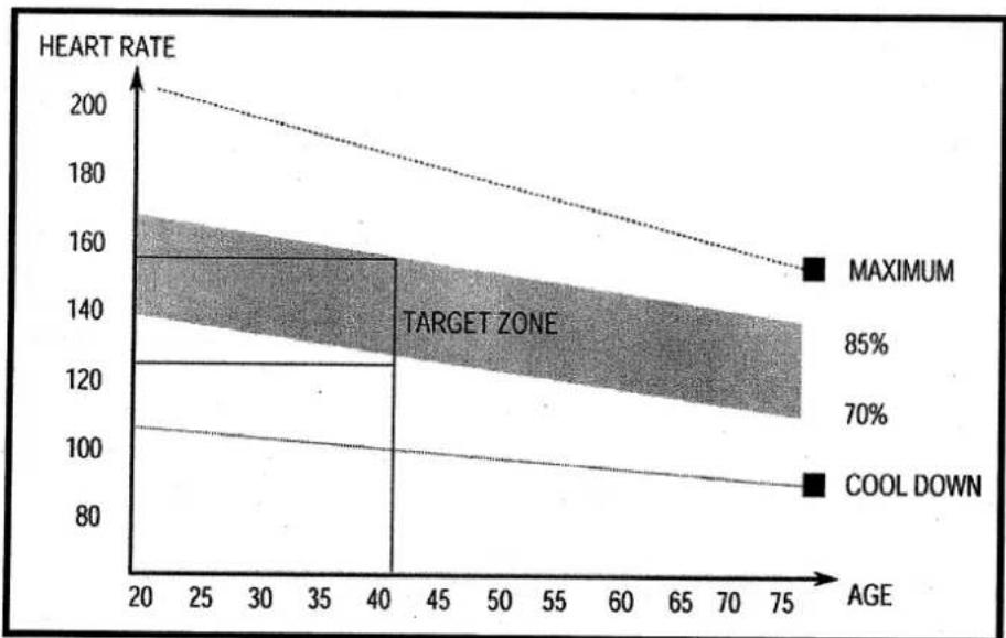 Body Sculpture BSW-1700 - The Exercise Phase - 1