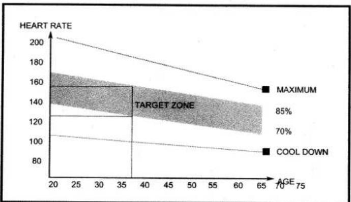 Body Sculpture BC-9031 - The Exercise Phase - 1