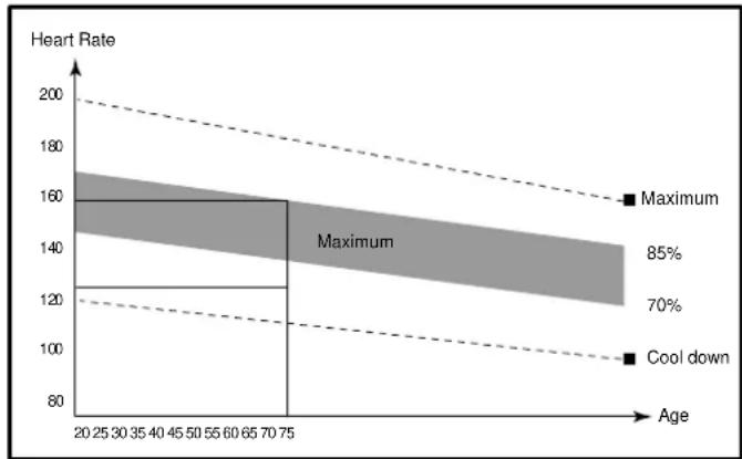 Body Sculpture BE-1675 - The Exercise Phase - 1