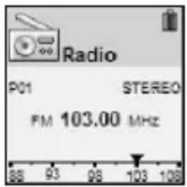 Radio P01 STEREO FM 103.00 MHz