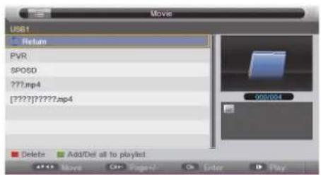Cello C20230F - Recording DTV Programme onto a USB Storage Device - 11