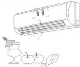 Philco PHS25H20 - Instrucciones previas al uso (Cont.) - 10