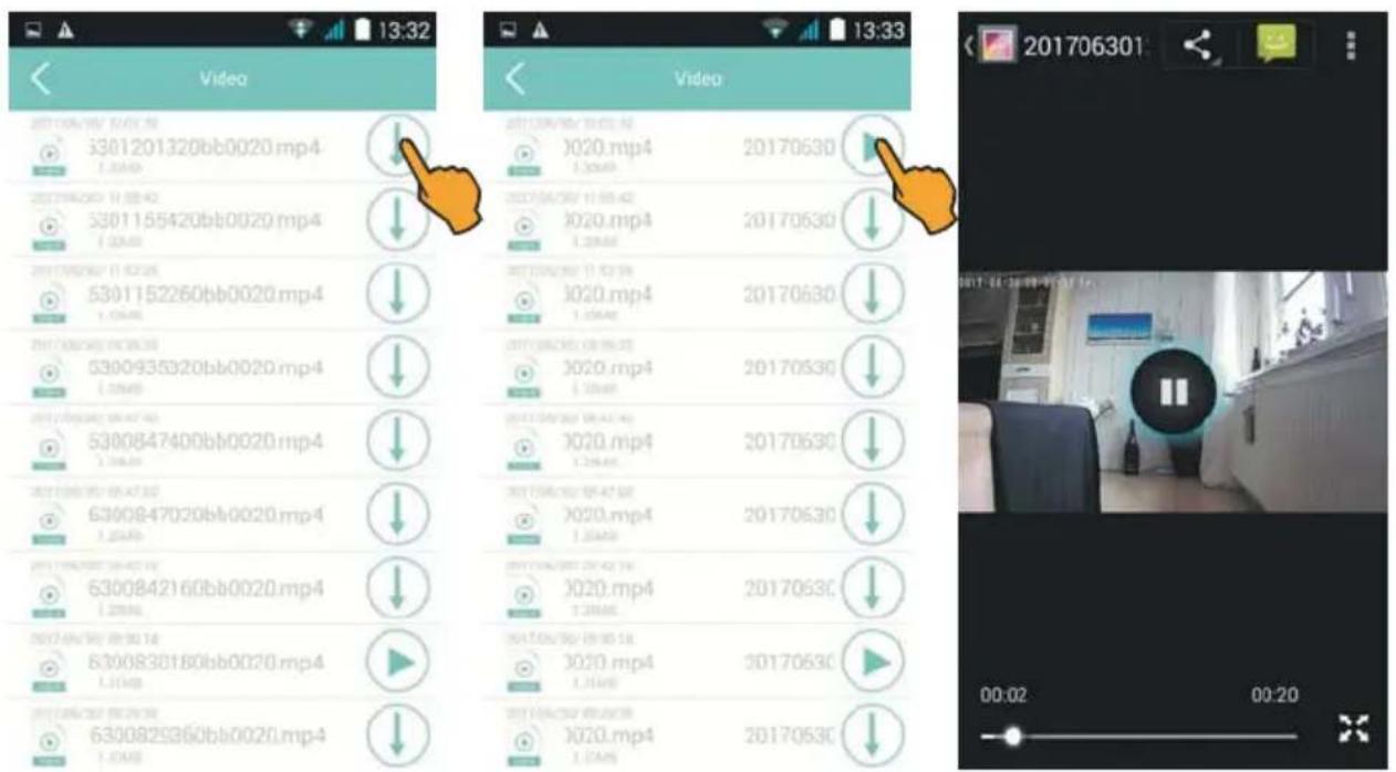 STABO 51090 - Video Playback: - 3
