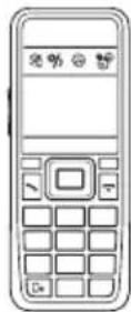 Bury CP 1000 CarPhone - SIM-Karten-Schutz - 1