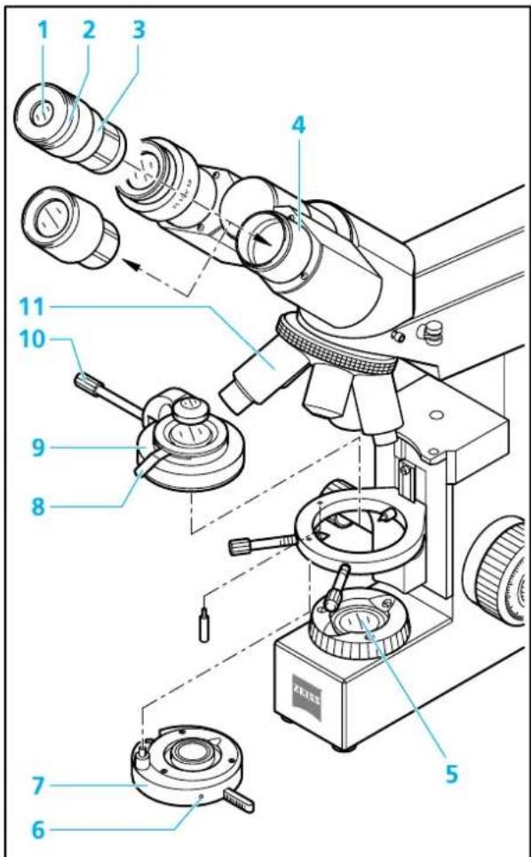 ZEISS Standard 25 ICS - Durchlicht-Phasenkontrast einstellen - 2