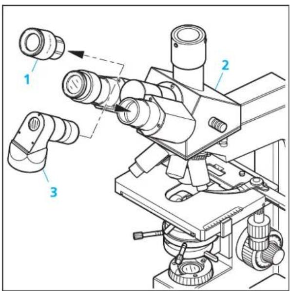 ZEISS Standard 25 ICS - Zeichenokular 8× einsetzen - 1