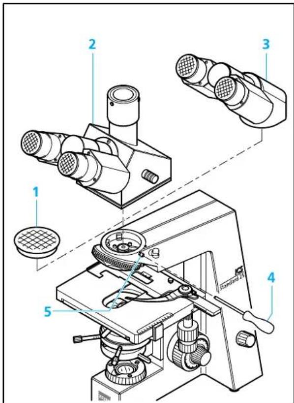 ZEISS Standard 25 ICS - Objektive einschrauben - 2