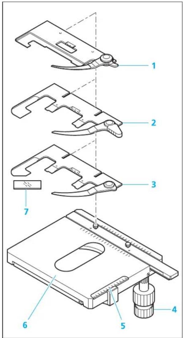 ZEISS Standard 25 ICS - Okularabstand und Einblickhöhe einstellen - 2