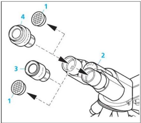 ZEISS Standard 25 ICS - Objektive einschrauben - 4