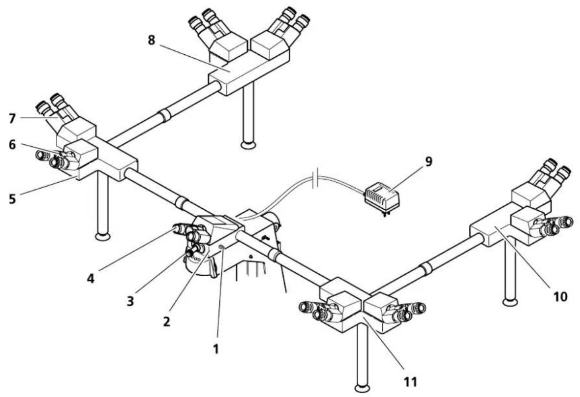 ZEISS Axioskop 40 - Multibeobachtereinrichtung einsetzen - 3