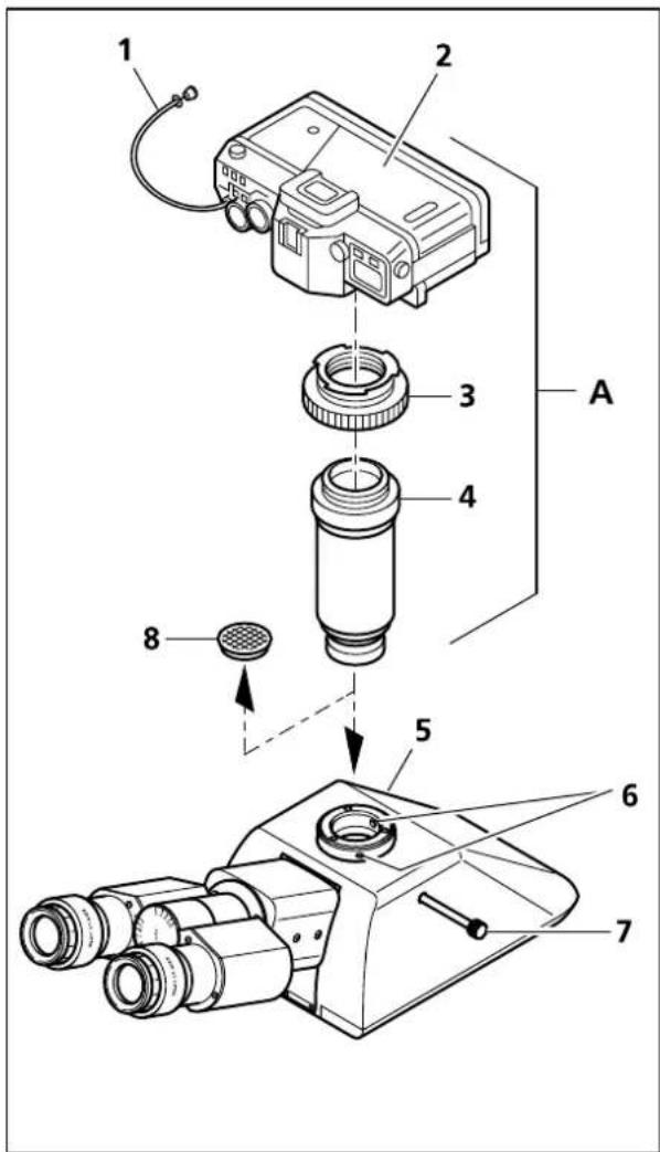 1 2 3 4 A 5 6 7 8