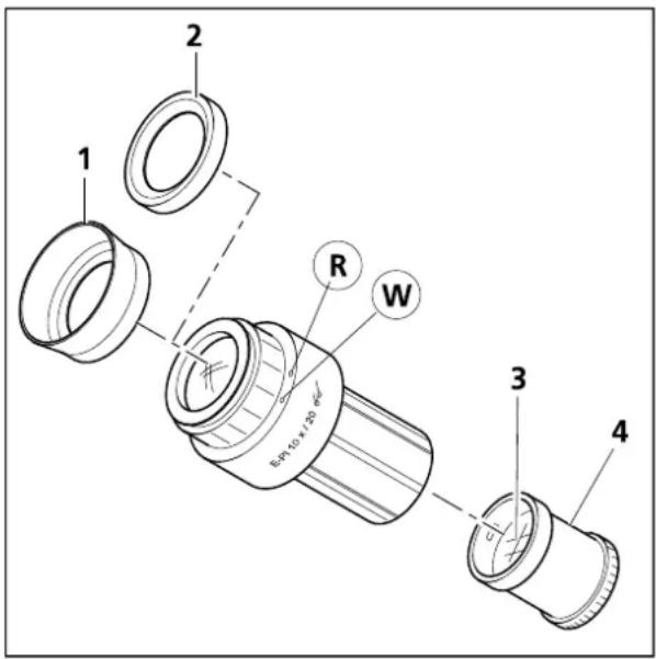 ZEISS Axioskop 40 FL - Okulare bzw. Hilfsmikroskop einsetzen - 3