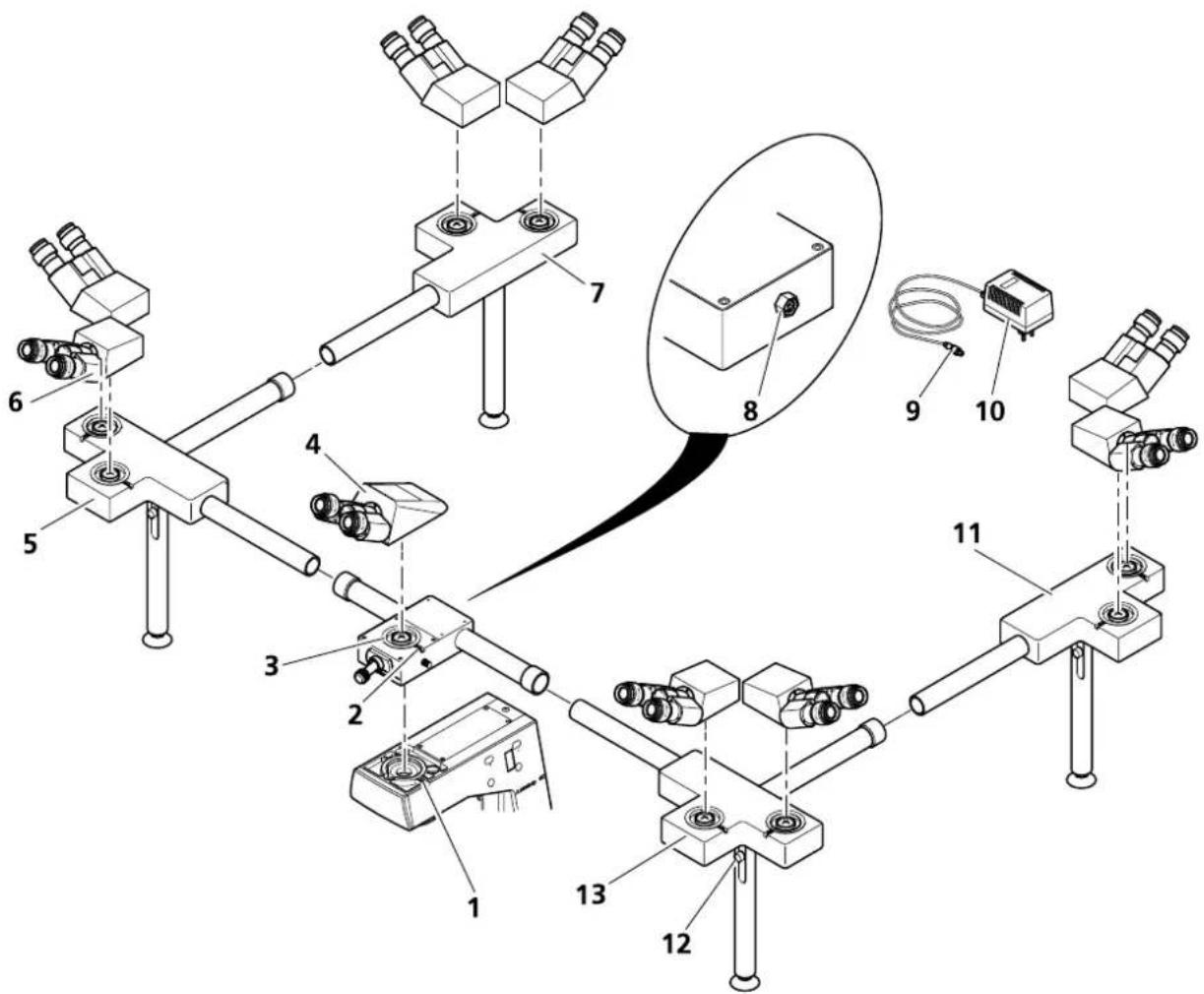 ZEISS Axioskop 40 FL - Multibeobachtereinrichtung montieren - 3