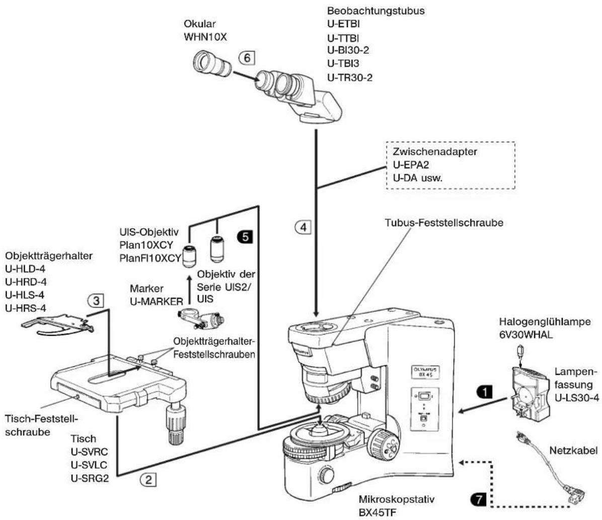 Okular WHN10X 6 Beobachtungstubus U-ETBI U-TTBI U-BI30-2 U-TBI3 U-TR30-2 4 Zwischenadapter U-EPA2 U-DA usw. 5 Tubus-Feststellschraube Objektträgerhalter- Plan10XCY PlanFI10XCY Marker U-MARKER Objektiv der Serie UIS2/ UIS 3 Objektträgerhalter- Feststellschrauben Tisch-Feststell- schraube Tisch U-SVRC U-SVLC U-SRG2 2 Olympus BX 45 1 Halogenglühlampe 6V30WHAL Lampen- fassung U-LS30-4 7 Netzkabel Mikroskopstativ BX45TF