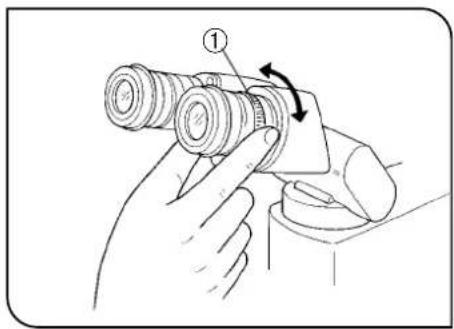 OLYMPUS BX45 - Einstellen des Augenabstands - 1