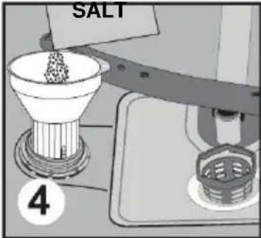 SALT 4