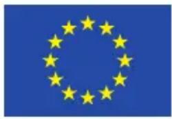 European Union flag with twelve yellow stars on a blue background (no text or symbols)