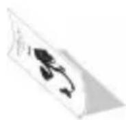 CamOne Car HD - 5