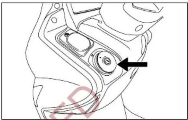 HYOSUNG MS3-250 - GASOLINE - 1