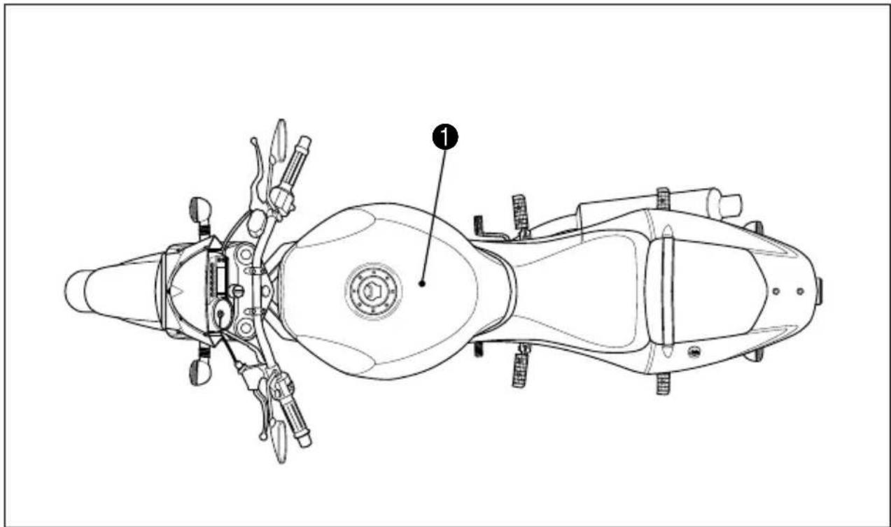 HYOSUNG GT250FI - LABEL - 1