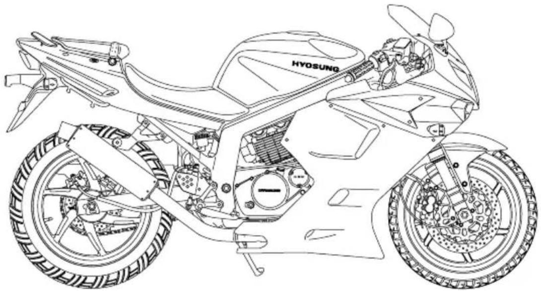 HYOSUNG GT250FI - WARNING - 1
