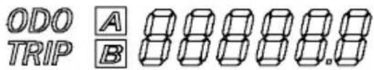HYOSUNG GT250FI - ⑥ ODOMETER / TRIP METER - 1