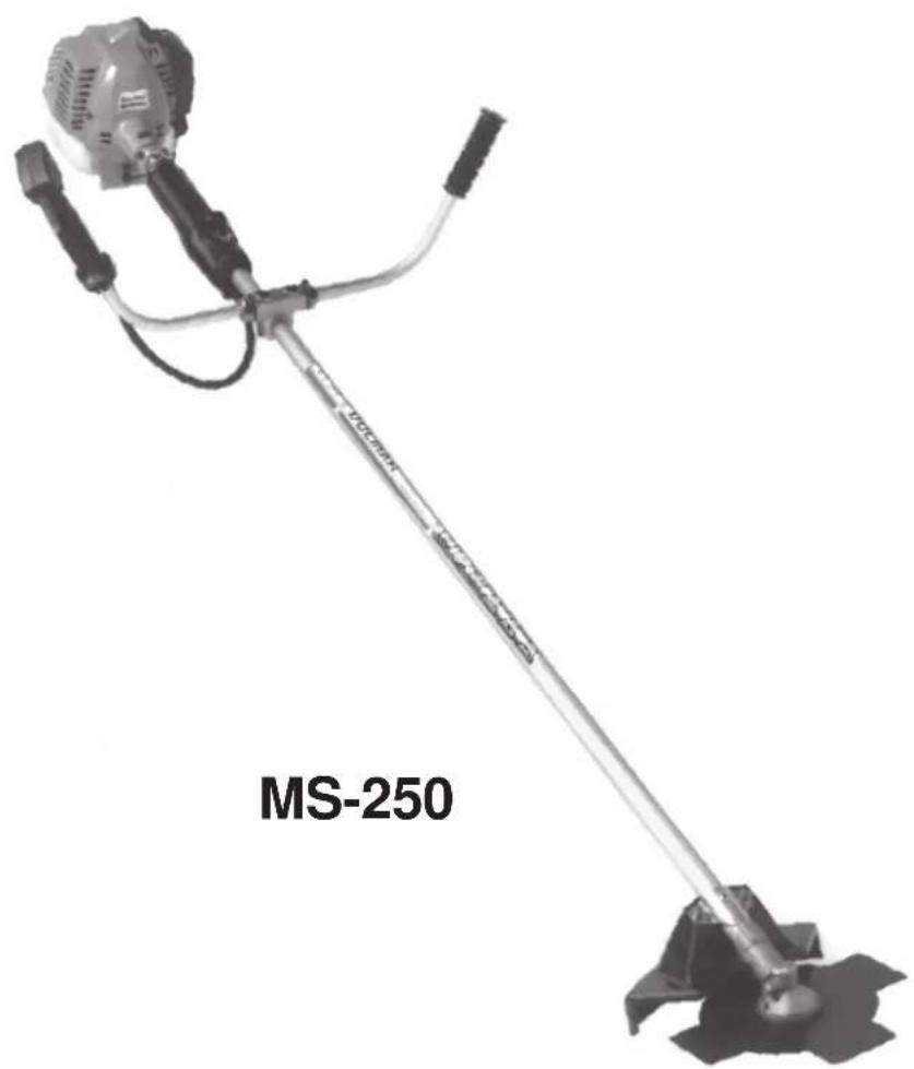 DOLMAR MS-250 - 1