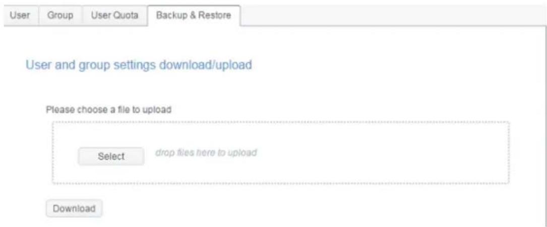 Thecus N4910U-S - User and group settings download/upload: - 1