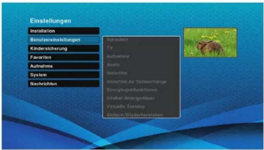 Schwaiger DTR700HD - Benutzereinstellungen - 1