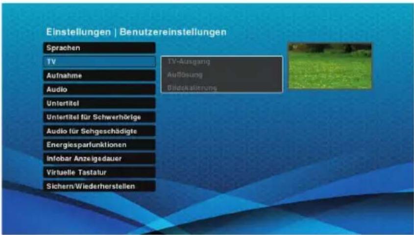 Schwaiger DTR700HD - TV - 1