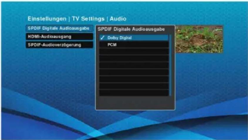 Schwaiger DTR700HD - S/PDIF Digitaler Audioausgabe - 2