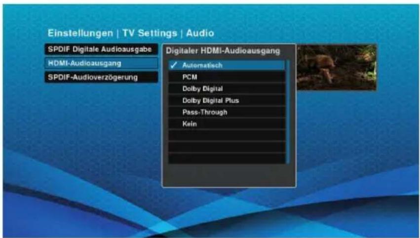 Schwaiger DTR700HD - HDMI-Audioausgang - 2