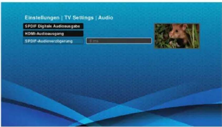 Schwaiger DTR700HD - S/PDIF Audioverzögerung - 1