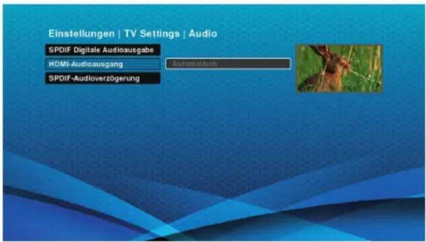 Schwaiger DTR700HD - HDMI-Audioausgang - 1