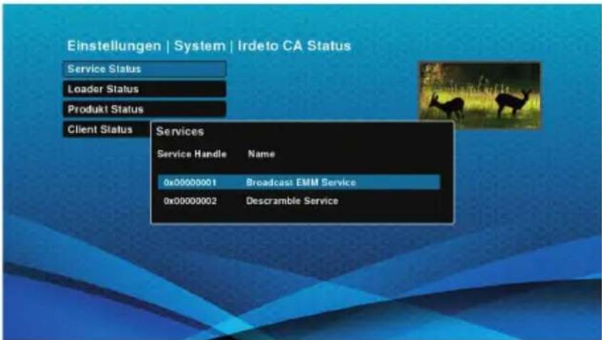Schwaiger DTR700HD - Service Status - 1