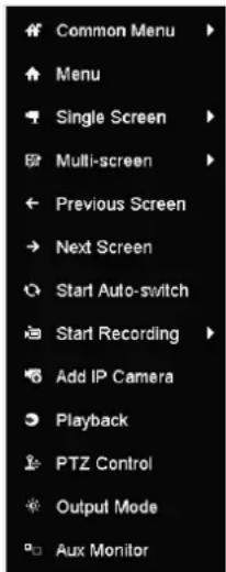 Hikvision DS-7204HUHI-K2 - Using the Mouse in Live View - 7