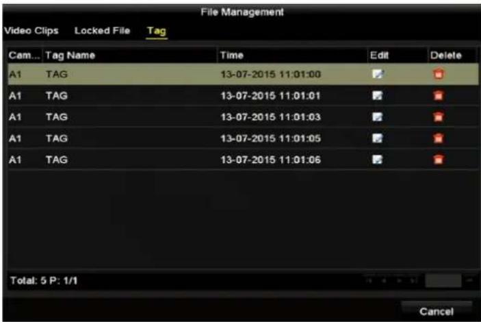 Hikvision DS-7204HUHI-K2 - Before playing back by tag - 4