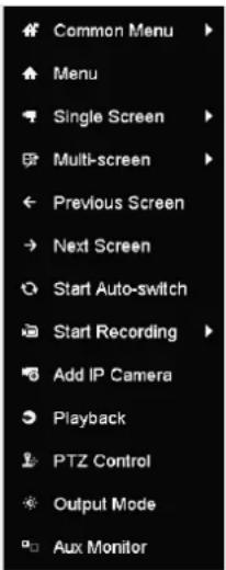 Hikvision DS-7308HUHI-K4 - Using the Mouse in Live View - 3