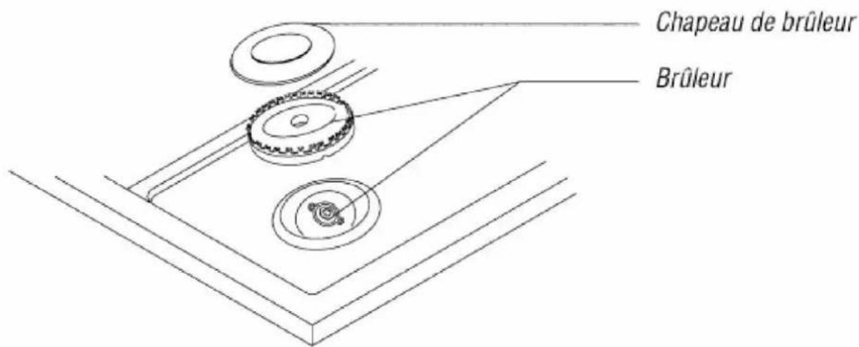 CALIFORNIA UST66101BCA - 3) MISE EN PLACE DES BRULEURS - 1