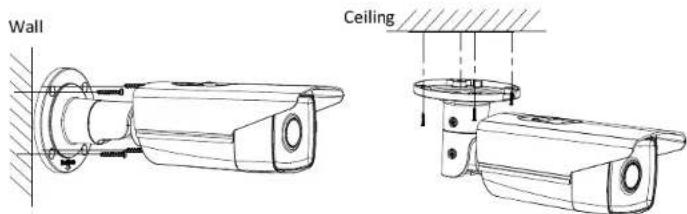 Wall Ceiling