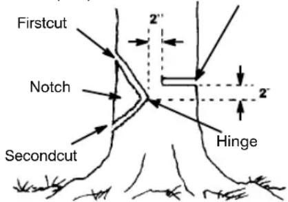 Firstcut Notch Secondcut Hinge 2' 2'