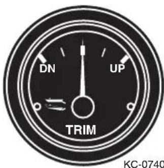 Monterey 254 FS Cuddy - Trim Gauge - 1