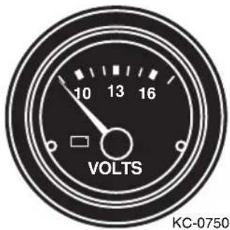 Monterey 254 FS Cuddy - Voltmeter - 1