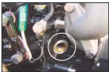 Parsun F5BM - Handhabung eines untergegangenen Motors - 2