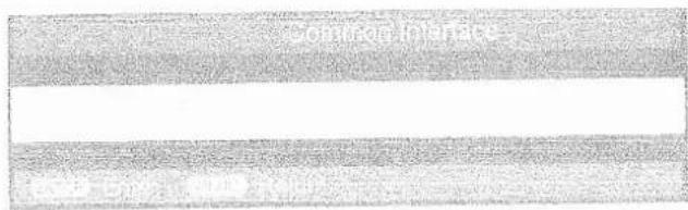 Onn XQ-2623 - Common Interface - 1