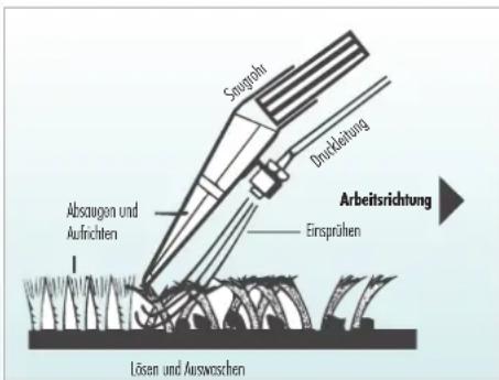 THOMAS Twin XT - Waschsaugen - 1