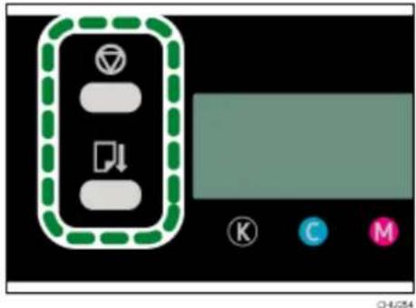 Sawgrass Virtuoso SG800EU - Press the [Job Reset] and [Form Feed] keys at the same time. - 1