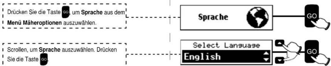 ROBOMOW RS622 - Sprache - 1